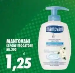 Compri Meglio Mantovani sapone erogatore offerta