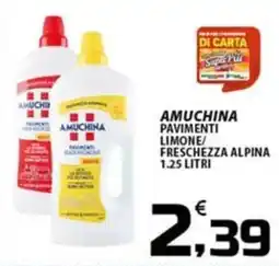 SpesaPiù Supermercati Amuchina pavimenti limone/freschezza alpina offerta