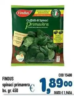 Del Prete Distribuzioni Findus spinaci primavera offerta