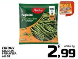 SpesaPiù Supermercati Findus Fagiolini Primavera offerta