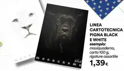Ipercoop Linea cartotecnica Pigna Black e White offerta
