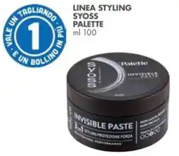 Italmark Syoss Palette Invisible Paste offerta