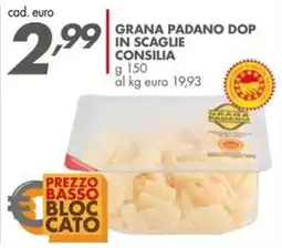 Italmark Grana Padano DOP in scaglie Consilia offerta