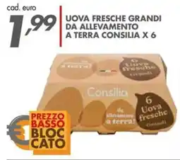 Italmark Uova fresche grandi da allevamento a terra Consilia offerta