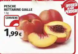 Ipercoop Pesche nettarine gialle offerta