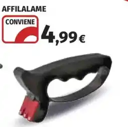 Ipercoop Affilalame offerta
