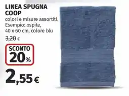 Ipercoop Spugna Coop offerta