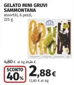 Ipercoop Gelato mini Gruvi Sammontana offerta