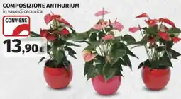 Ipercoop Composizione Anthurium offerta
