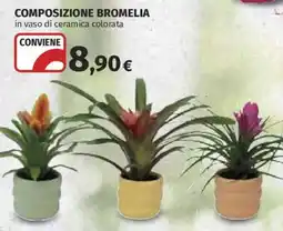 Ipercoop Composizione bromelia in vaso di ceramica colorata offerta