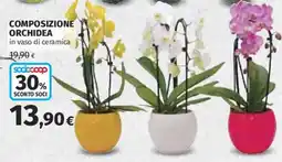 Ipercoop Composizione orchidea in vaso di ceramica offerta