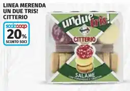 Ipercoop Undue tris! Citterio Salame offerta