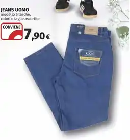 Ipercoop Jeans uomo offerta