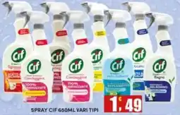 Maury's Spray Cif vari tipi offerta