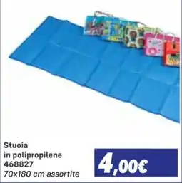 Orizzonte Stuoia in polipropilene offerta