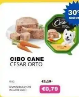 KOKO Emporio Cibo cane Cesar orto offerta