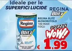 Casa & Co Regina Blitz offerta