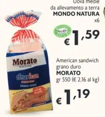 Uova medie da allevamento a terra MONDO NATURA