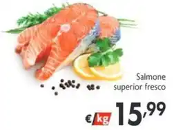 SuperW Salmone superior fresco offerta