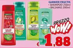 Casa & Co Garnier Fructis offerta