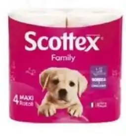 Splendidi e Splendenti Scottex Family offerta