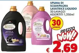 Casa & Co Spuma di sciampagna lavatrice liquido offerta