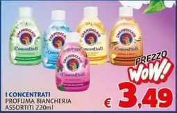 Casa & Co I concentrati profuma biancheria offerta