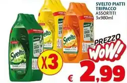 Casa & Co Svelto piatti offerta