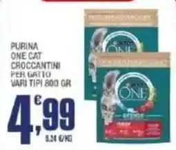 Splendidi e Splendenti Purina One Cat Crockantini per gatto offerta