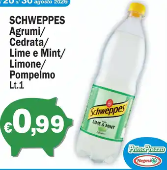 Schweppes Lime & Mint
