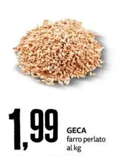 PRO7 Supermercati GECA farro perlato offerta