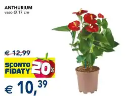 Esselunga Anthurium offerta