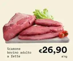 Borello Supermercati Scamone bovino adulto offerta