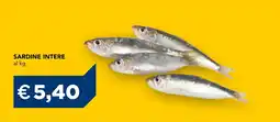 Esselunga Sardine intere offerta
