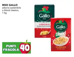 Esselunga Riso Gallo offerta