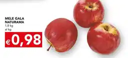 Esselunga Mele Gala Naturama offerta