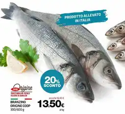 Superconti Branzino Origine Coop offerta