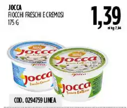 Carico Cash & Carry Jocca fiocchi freschi e cremosi offerta