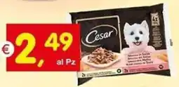 Centro Commerciale Discount Cesar offerta