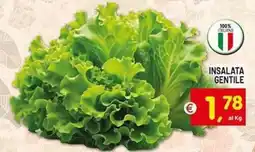 Centro Commerciale Discount Insalata Gentile offerta