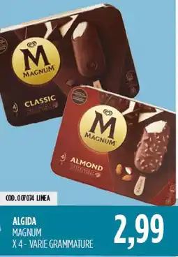 Carico Cash & Carry Algida Magnum offerta