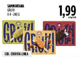 Carico Cash & Carry Sammontana Gruvi offerta