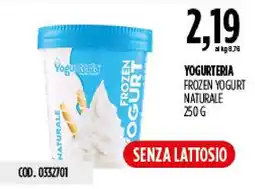 Carico Cash & Carry Yogurteria frozen yogurt naturale offerta