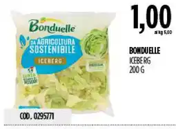 Carico Cash & Carry Bonduelle Iceberg offerta