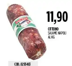 Carico Cash & Carry Citterio Salame Napoli offerta