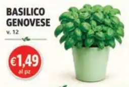 èccoMI Basilico Genovese offerta