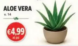 èccoMI Aloe vera offerta