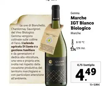 Marche igt bianco bio