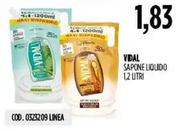 Carico Cash & Carry Vidal Sapone Liquido offerta