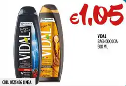 Carico Cash & Carry Vidal bagnodoccia offerta